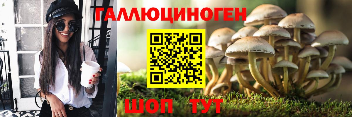 Соль-Илецк  Псилоцибиновые грибы GOLDEN TEACHER  дарнет шоп  Вход с VPN 