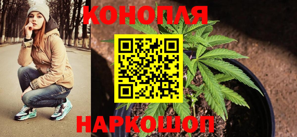 Марихуана SATIVA & INDICA Соль-Илецк